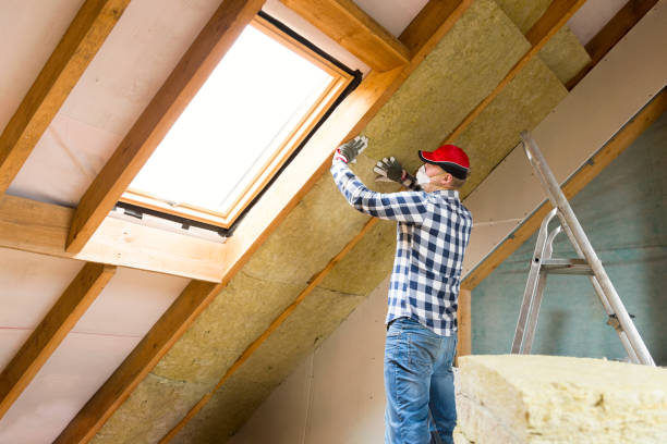 Best Attic Insulation Installation  in Midway South, TX